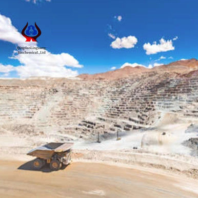 qualità CMC in polvere bianca a rapida dissoluzione per l'estrazione mineraria con finitura a mulino per applicazioni minerarie industriali fabbrica